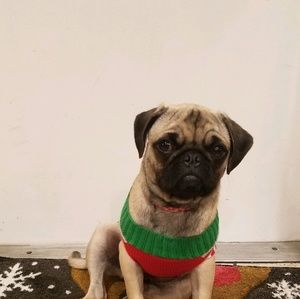 Meet your Posher, Cuca